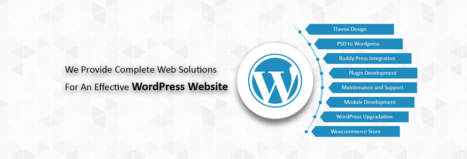 WordPress Developer Webizito