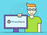 What is a WordPress Developer - Webizito